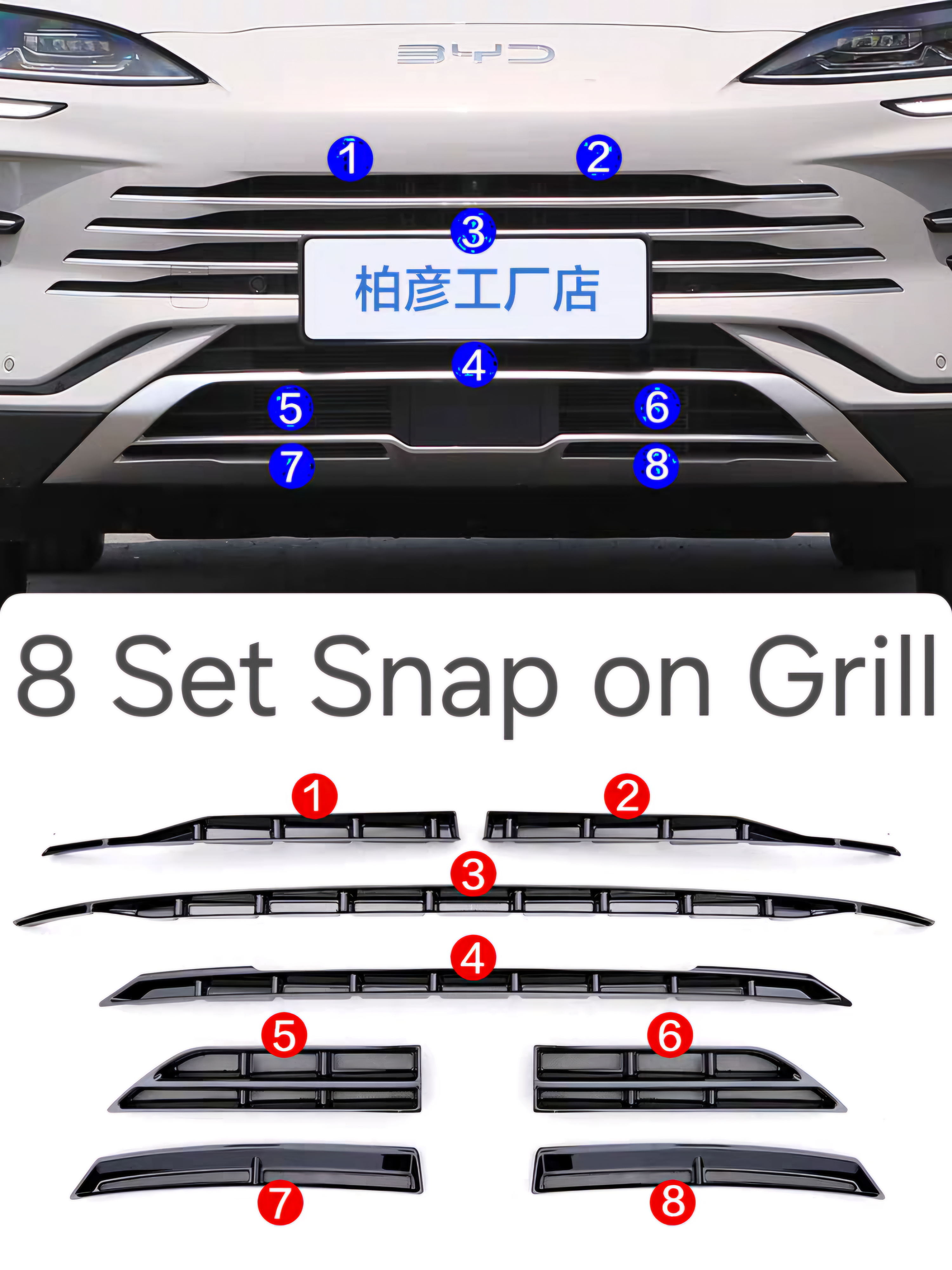 Snap on Grill Mesh BYD Sealion 6